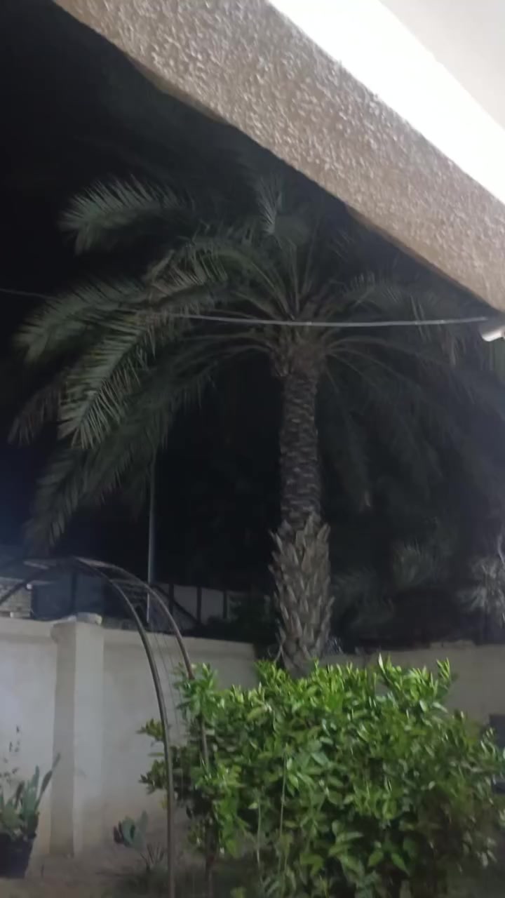 سلام عليكم نامه متياز للبيع  27 اوراق سكنر جديدة صاله شهرين 
دراجه جديدة بمعنى الكلمه مذب عليه ربع دينار دراجه مفوله 
مكفوله من طول لطول كهربائيات كله شغاله السعر 700 بيه مجال بسيط جدا حك الجيه مكاني كربلاء طوريج *********** 
جماعة 650 لطبون
