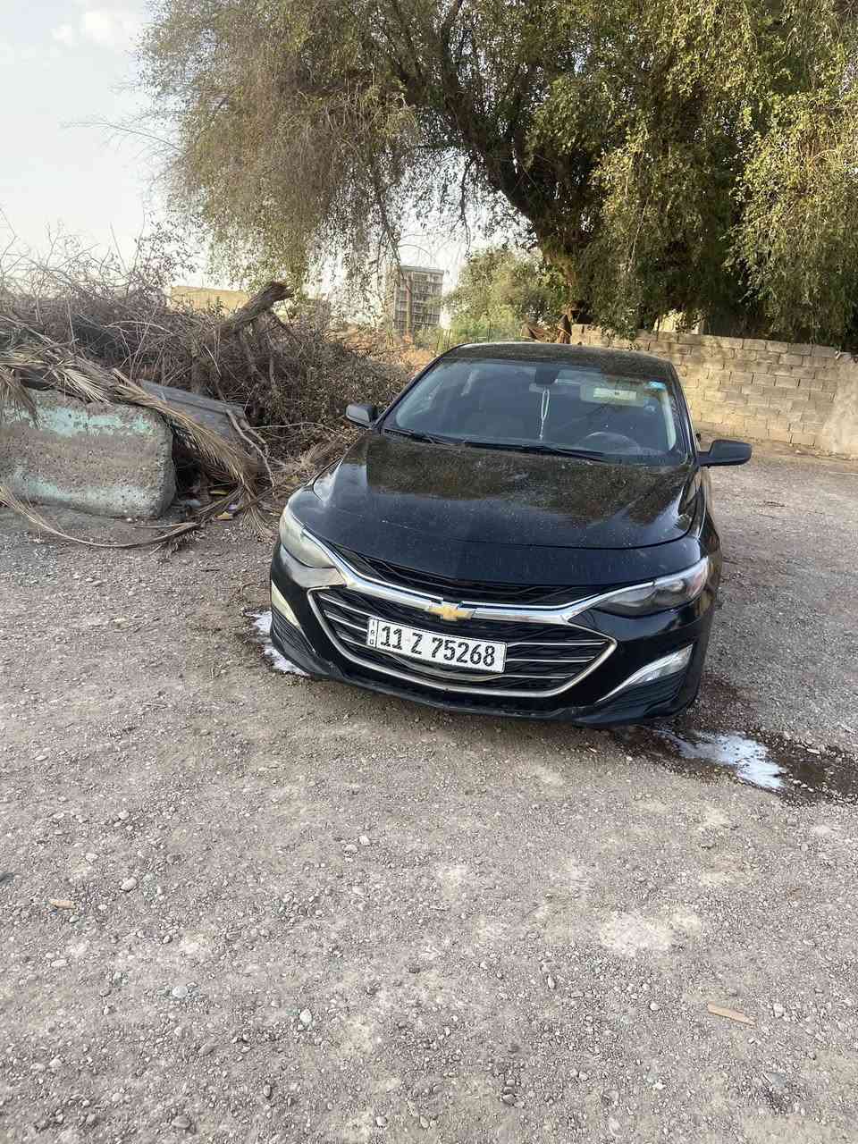 سلام عليكم ماليبو 22بغداد بسمي ماشيه١٣٠سياره تخبل الله شاهد عليه سياره قطعه مبدله وقطعه مصبوغه بدون دواخل كير  مكينه خير من الله سعر ١١٥وبيه مجال بصيط  ترهم مراوس حسب القناعه الله يرزقنه ويرزقكم حبايب ماكن بغداد رقم ***********
