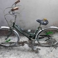 باسكل • حجم ٢٤ • حي الجامعة