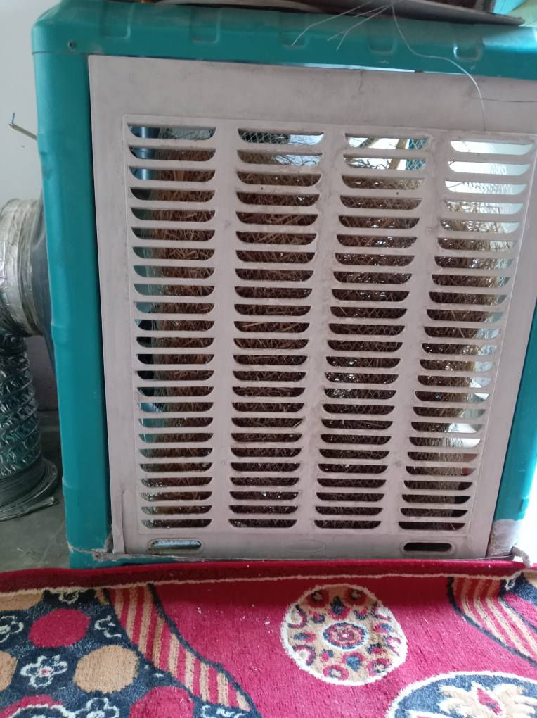 مبرده حديد سعره ٦٥ والبلاستيك ٢٥٠ جديده البلازمه حجم كبير سعره ٥٠٠ جديده ام النت الطباخ سعره ١٨٠ جديد كربلاء, العراق


**إذا كنت صاحب هذا الإعلان وتريد حذفه لأي سبب، رجاءا أرسل رسالة إلى الدعم الفني**