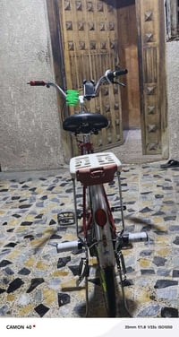 باسكل • ٢٤ • نضيف