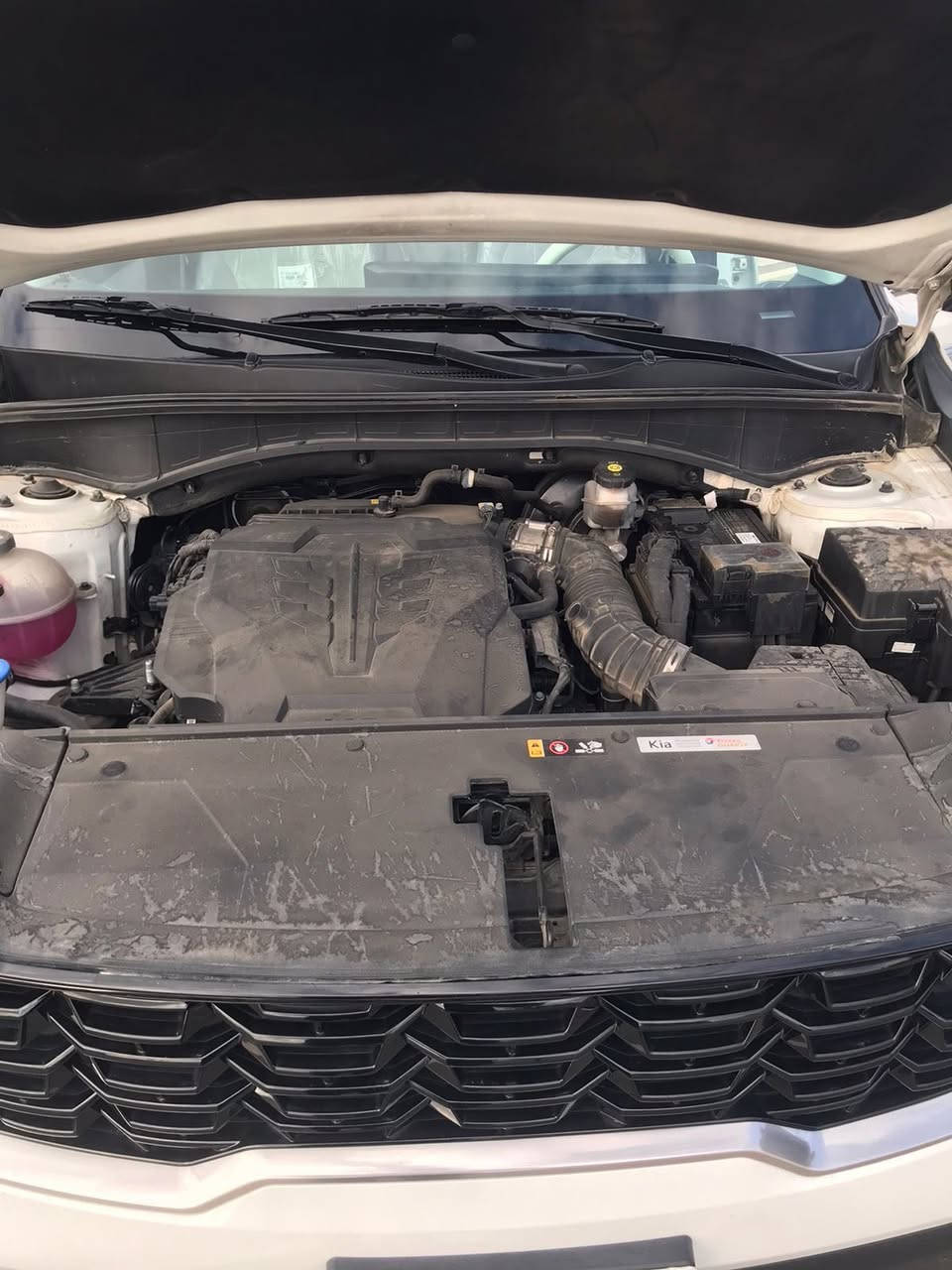 ⸻
🚗 كيا سورينتو موديل 2024 🚗
سيارة نظيفة وجاهزة للاستخدام 🌟خليجيه 

🔹 الممشى: 42 ألف كم
🔹 المواصفات: فول مواصفات
🔹 الاستثناءات:
▫️ بدون فور ويل
▫️ بدون 4 كاميرات

✨ مميزات السيارة:
✔️ محرك قوي وأداء ممتاز
✔️ تصميم أنيق وحديث
✔️ داخلية مريحة وواسعة
✔️ شاشة كبيرة + نظام ترفيهي متكامل
✔️ أنظمة أمان متطورة
✔️ مناسبة للعائلة والسفر

📍 السيارة بحالة ممتازة
📞 للاستفسار والمزيد من التفاصيل يرجى التواصل /***********
🚗بغداد. حي اور.
