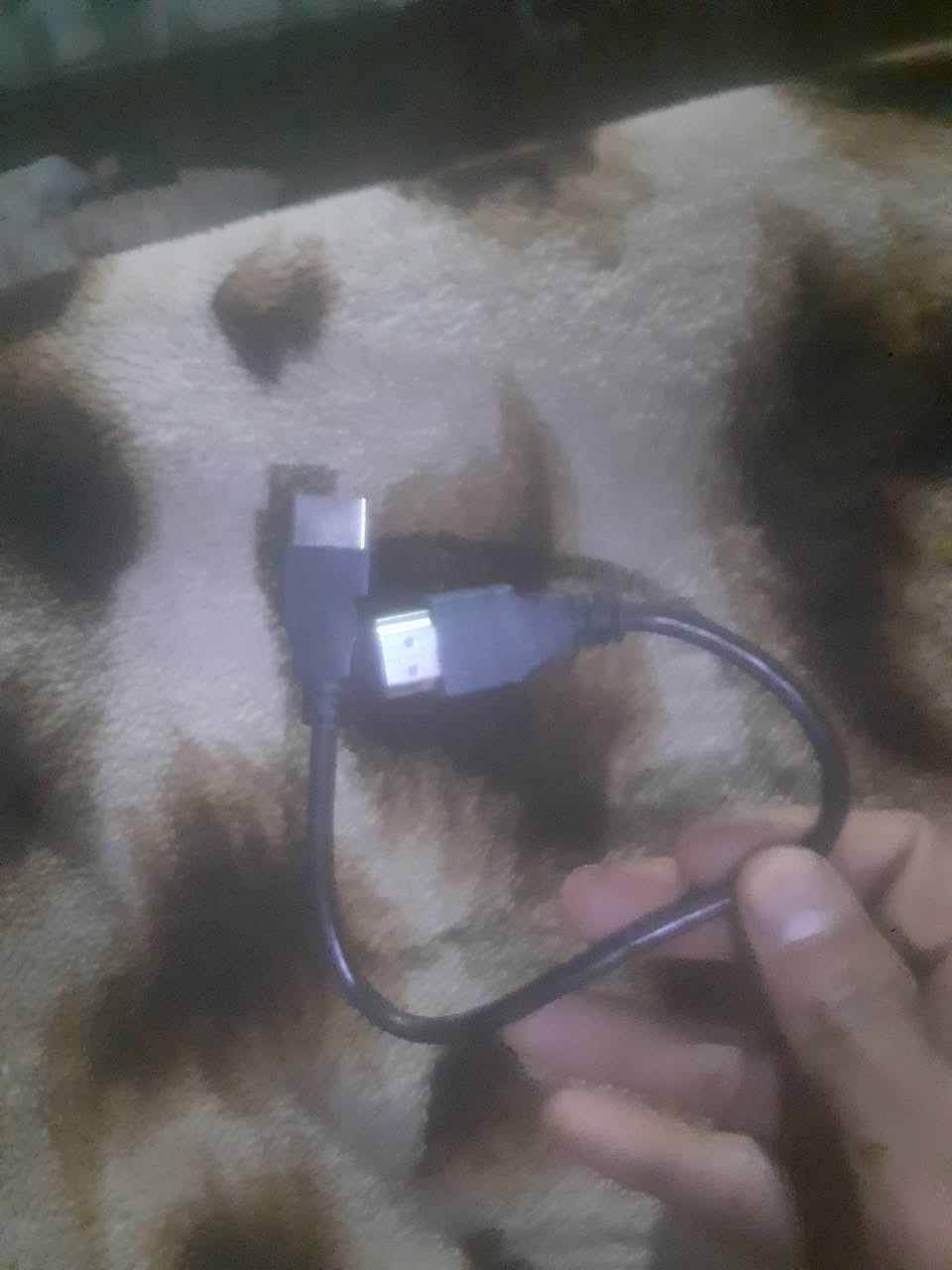 للبيع كلهم ب١٠الاف جديد حي سومر بلا معامله بس الستلايت بوحدو ب١٢الف
✨ فرصة ما تتعوض ✨


**إذا كنت صاحب هذا الإعلان وتريد حذفه لأي سبب، رجاءا أرسل رسالة إلى الدعم الفني**