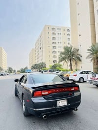 ١٣ فول الفول بدون ارباك استخدام شخصي ٠٧٧٣٢٩٥٤٣٩١ بي واتس