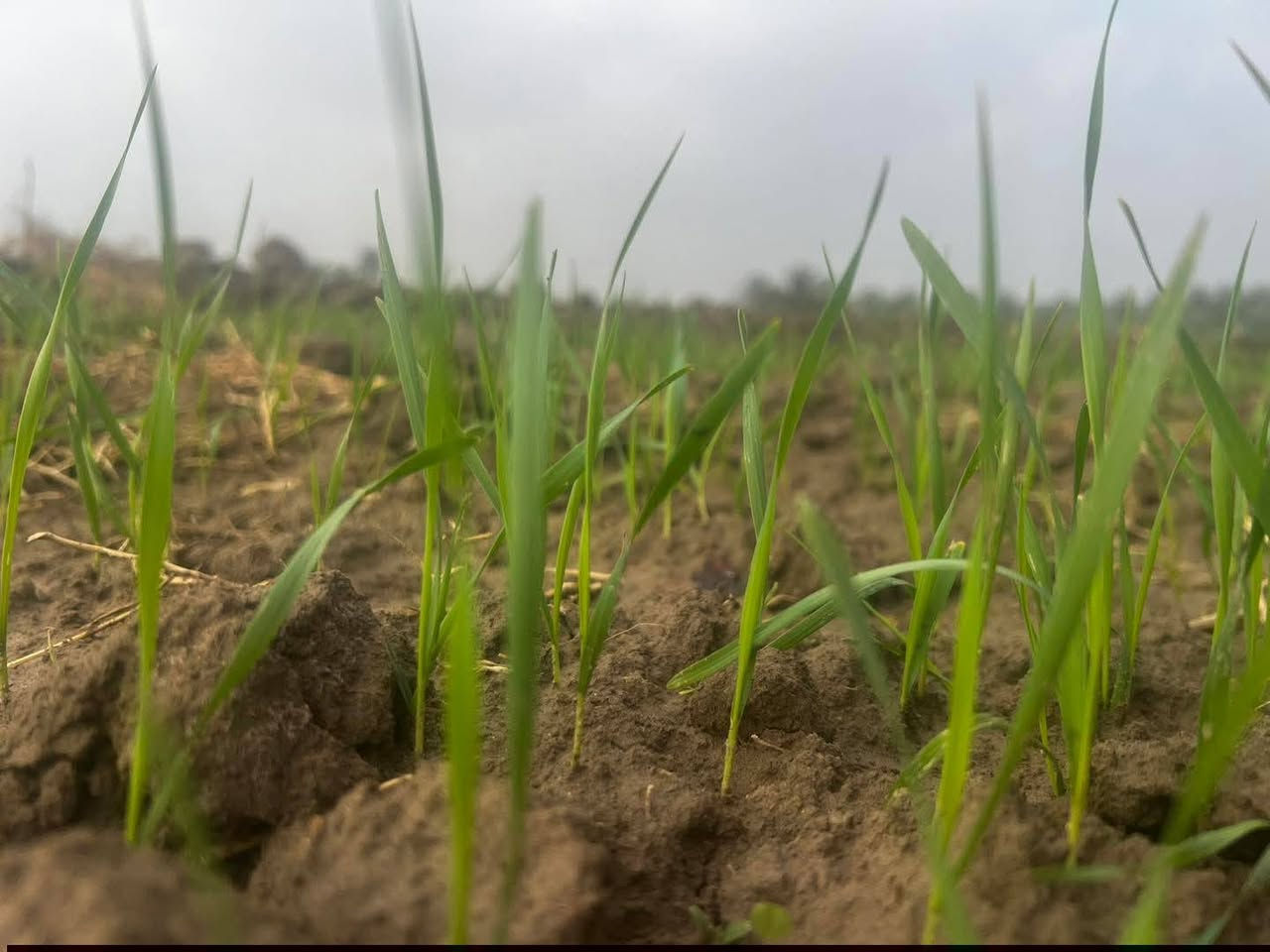 الاستفسار أكثر الاتصال على الرقم
***********
