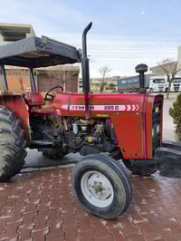 2011 • بدون أوراق • قەڵادزێ