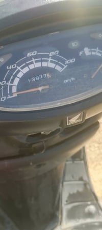 سبيسي • مكفولة • كوت