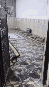 بيت للبيع 125متر جدا كبير ونظيف وواسع 
طابو زراعي سند25اقرار محكمه
يتكون من مدخلين مدخل للمطبخ ومدخل للاستقبال 
استقبال جدا كبير وصاله  وغرفه نوم سويت ومطبخ وطارمه وصحيات
 عرض الفرع10متر
خدمات كلها متوفره
موقع كربلاء خلف جامعه العميد قرب السايلو عامود1211 شيخ بني حسن
..بناء بلوك العتبة صب كونكريت البيت كلش جديد وموقعه مرتب قريب السايلو
السعر 48مليون مع مجال
اي استفسار اتواصلو ويانه 
***********
