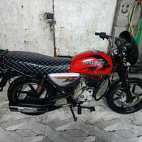 بوكسر • فحل • بصرة