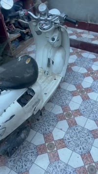 فينو • طافيه • ناصريه