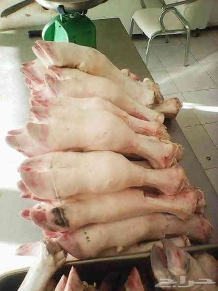 السلام عليكم ورحمة الله وبركاته #قصابية #الريان مستعدون التجهيز كافة  المناسبة نقدم لكم  يوجد توصيل دخل كربلاء ***********

 لحم ذبح كل يوم بيومة تعال للمحل شوف لحم ابعينك  

كيلو لحم غنم 13 😋

 كيلو لحم عجل 10😋

كيلو لحم مفروم 10😋

كيلو كبد عجل 10😋

فراسم عجل كيلو 4 ونص 😋

كيلو كباب لحم 10الف 20شيش مع طماطه بصل أخضره

كيلو كباب دجاج 10الف 20شيش مع طماطه و بصل اخضره

 العنوان كربلاء حي البلدية قرب مجمع ام البنين الطبي قرب

 كباب أبو محمد يوجد توصيل دخل كربلاء رقم

 ***********  #إلعراق #كربلاء #قصابية #الريان  #إشارة #الجميع #معلقون #متابعين
