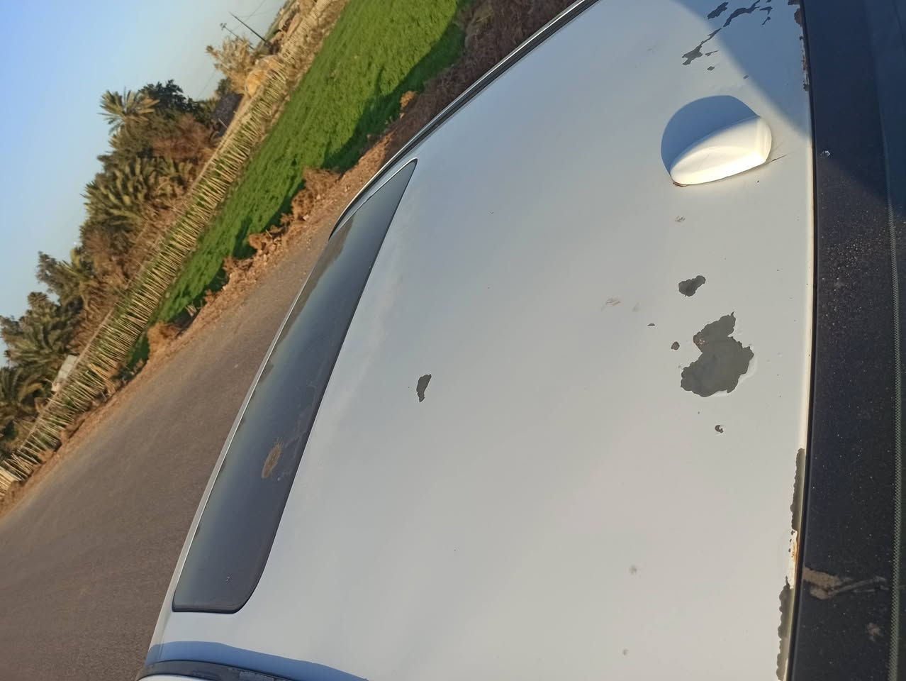 سلام عليكم سوناتا 2008واردامريكي6سلندر مكفوله من الضربة بيها حزام صبغ ليبل واحد حداديه جديده تخم تاير كيرومحرك جدد صار شرين من شادهن تبريد ثلج ماتصرف عليها الف العنوان نجف بسمي سنويه لحد 28 السعر 90 ورقه وبيها مجال حك الجيه ***********
