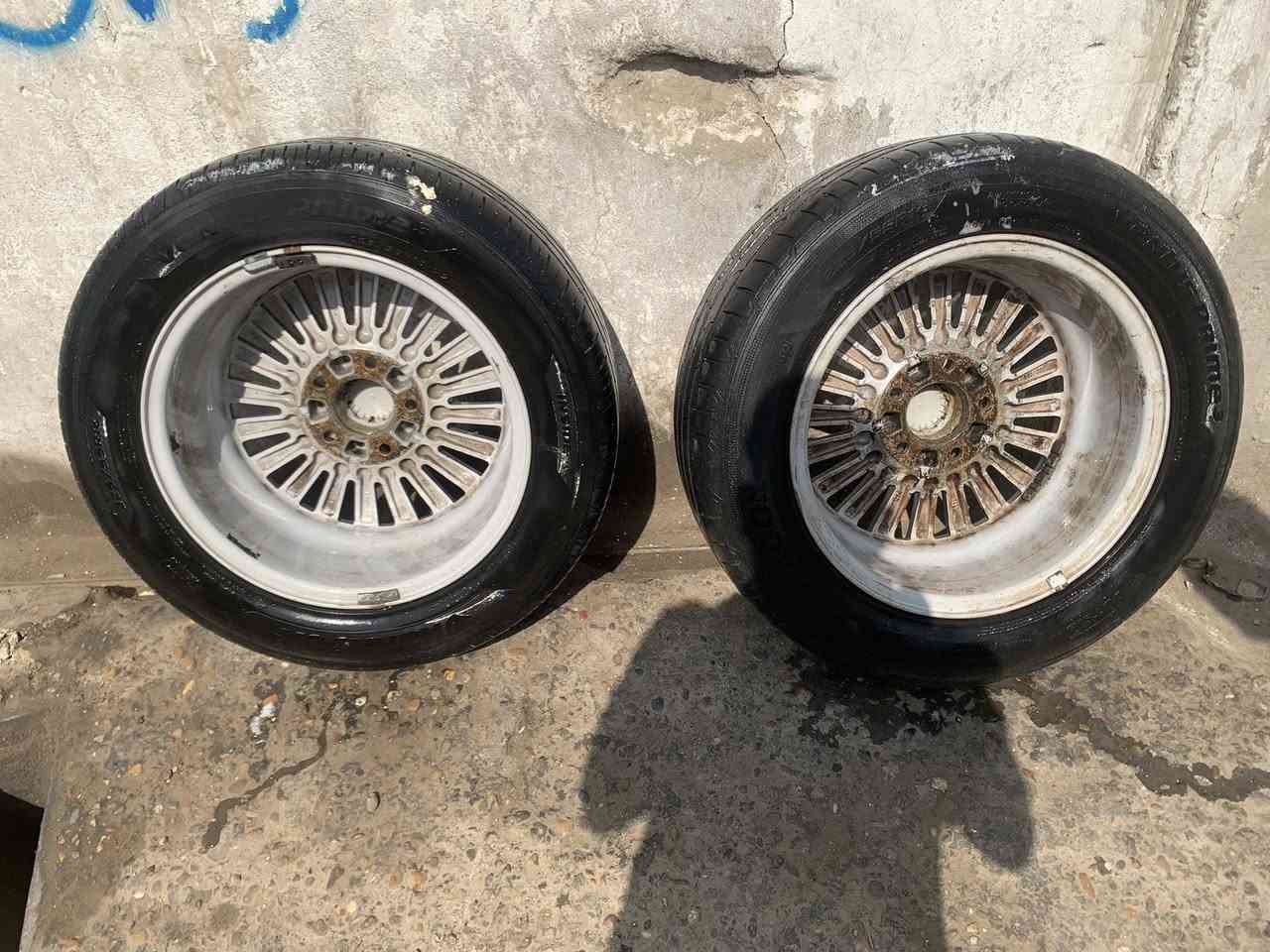 السلام عليكم تخم ويل صقر بلادي نضيف لا فطر ولا تصليح السعر 200$ رقم الهاتف ***********
