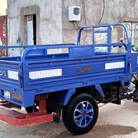 ستوته جمره • فحل • كفالة سنة