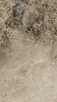 لباخ جص بورك اسمنت لط جراره سقل نثر تقطيع متفرغ حاليا وهذا رقمي  07809...