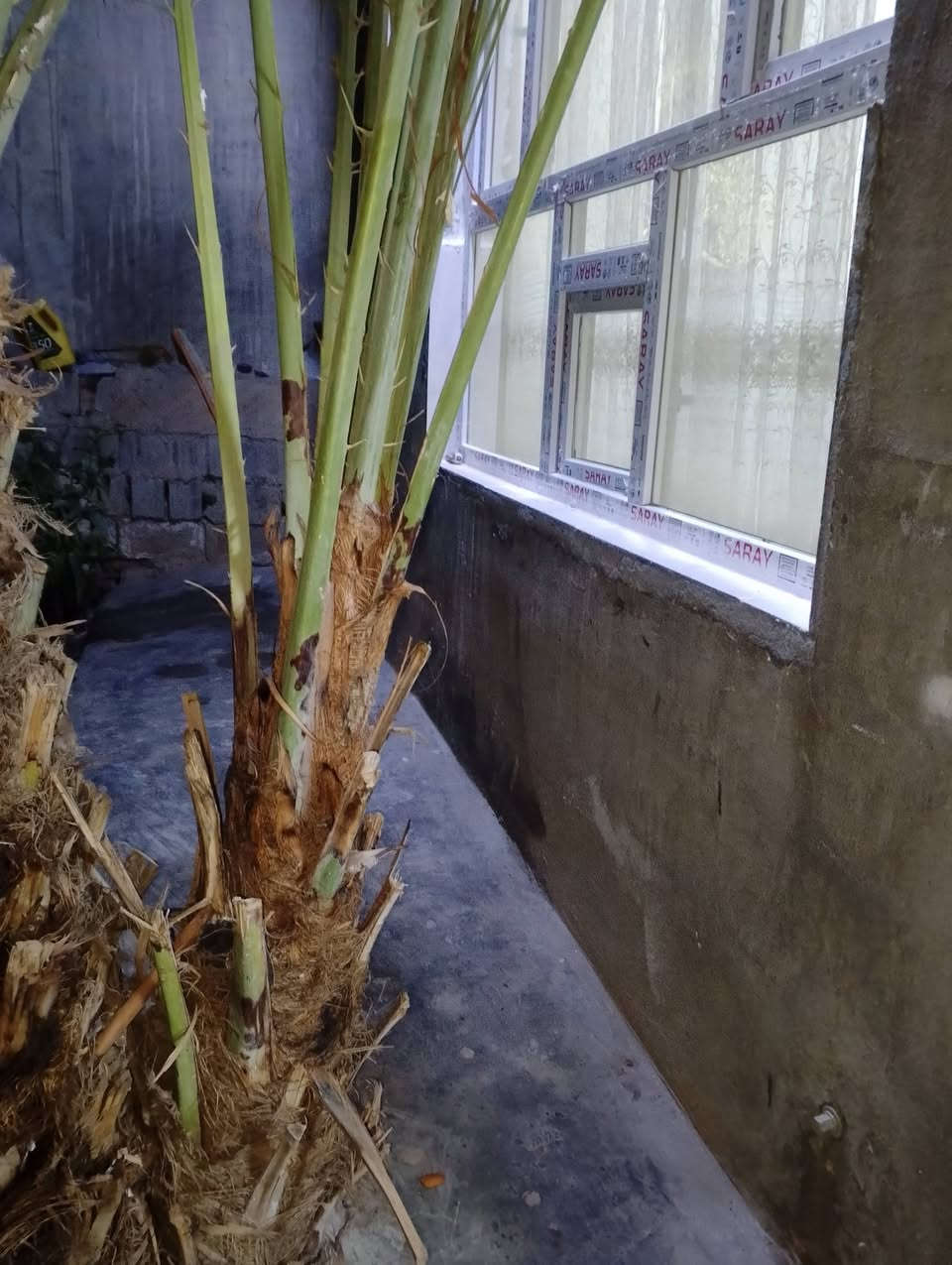 السلام عليكم فسيله للبيع سعر 75 بمجال كركوك رقم موبايل  ***********
