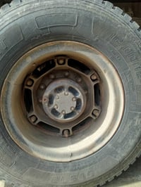 زوج براميخ  مراوس بصاج مع فرق 07882767243