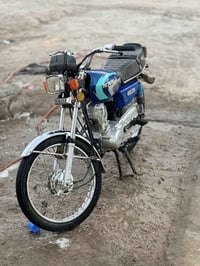 نوار • ٢٠٢٣ • أوراق اصلية