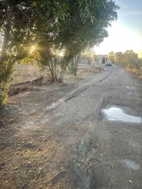 خمس دوانم للبيع عقد ع قانون 117 كل الخدمات متوفرة ماء سقي ماء اساله كه...