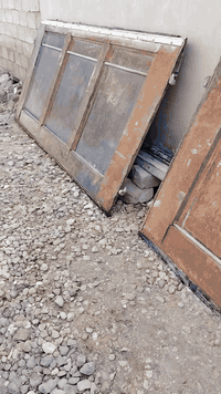 منظومه حافظه كامله البيع شراي اتصل عله رقم ***********
