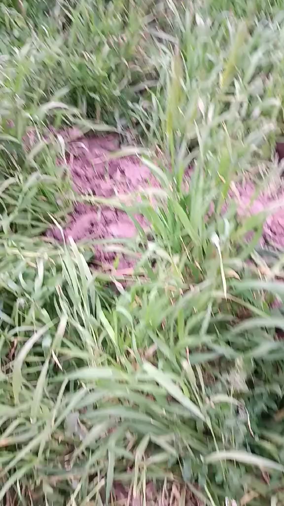 السلام عليكم  قطعة ارض للبيع طابو سند 25 اربعه 4دونم تقع على مشروع عتاب الرئيسي تبعد  عن سيطرة شوملي حمزه  كيلو متر واحده وتبعد  وعن شارع العام 200متر
لاستفسار بعد اكثر لاتصال على رقم  ‏‪‏‪***********‬‏
