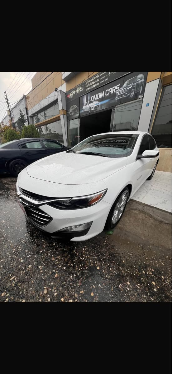 ماليبو 2023 وارد امريكي
موصفات LT معروف
بيهه نوص باب سبخ 
ارباك و دواخل. شه رت
كير و مكينه شه رت 65 ماشيه
سياره وضع شريكه 100‎%‎
كاتي يرقم شمال شرط رقم ابيع
سعر مناسب 127$ مجال بسيط
مكان زاخو واتساب *********** زاخو, دهوك
