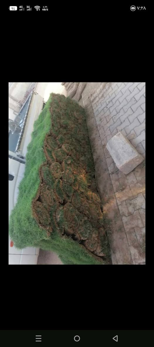 لعمل الديكور اتصل على الرقم (***********)
🍃مستـعدون🍂 ، لـترتيب🐦 الحدائق المنزلية 🏝️🏘️ ودوائر الدوله والمتنزهات  مايخص الحدائق العامة
وزراعة النباتات، 🌾🌴🌱والازهار، 🌼🌺🌻وقص الثيل.🌾🌾
وعمل الديكورات والتصاميم،الحديثة للحدائق،وعمل وسياجات BRC وسياجات الحدائق، بواسطة الاحجار الملونة والاشتايكر
