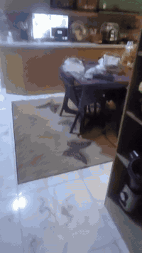 بيت بين الصحة وابو دشير مساحة ١٢٠ متر بناء حديث وكامل والكمال لله ماء كهرباء سند اصلي الي يحب يشتري على هذا رقم ***********
