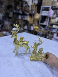 أغراض منزلية • اوربي جديد • بابل