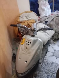 دراجة منغولي • للبيع • قابلة تفاوض