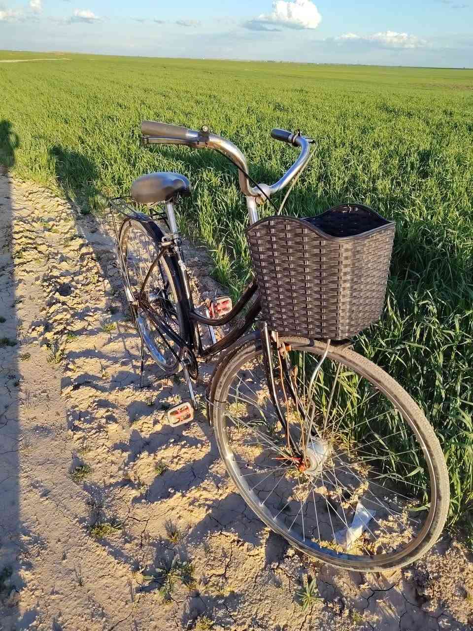 السلام عليكم باسكل حجم 27 للبيع السعر 65 بي مجال المكان قريه العدله ***********
