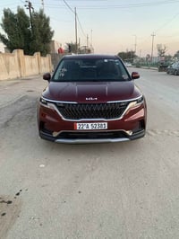 كرنفال • وراد أمريكي • مرقّم أربيل