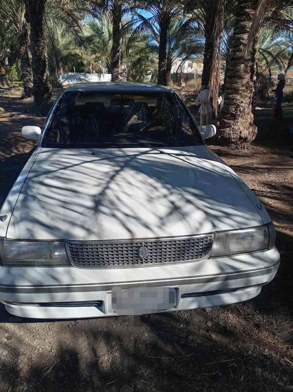 السلام عليكم
مارك تيوتى عظم كربلائي
موديل 1992
مابيه اي ضربه بس شويه يم جملغ الخلفي
محرك وكير خير من الله
حداديه زينه
وبسمي
ورقمه بغداد خصوصي الاماني
سنويه ماصقطا
بيه شويه خيسات بل جملغات
سياره بلادي ودواخل نظيفات
سياره حلوه للإستفسار الاتصال بالرقم ***********
