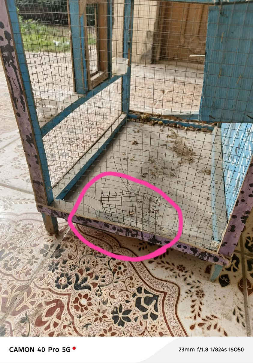 قفص طيور بي قطع بالسيام من الاسف ماشر عليه 20 الف عنوان حلة بكرلي


**إذا كنت صاحب هذا الإعلان وتريد حذفه لأي سبب، رجاءا أرسل رسالة إلى الدعم الفني**