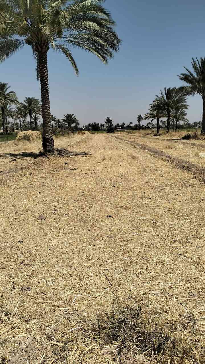 دونمين للبيع  خدمات ماي رساله زائدا الكهرباء تبعد عن الشارع الرئيسي 50 متر على شارع عرض سته امتار قريبه مستشفى ابو غريب خمسه دقائق رقم التلفون *********** رقم الرقم الثاني *********** بي واتساب
