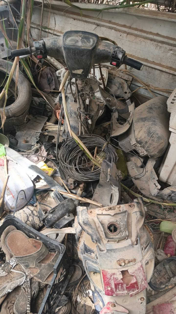 عندي شاواصي اثنين واحد مالته منغوليه واحد مالته عبد الحليم اثنهينهن بيهن دبلات وكفرات وضفاير للبيع اثنينهن 50 
***********
