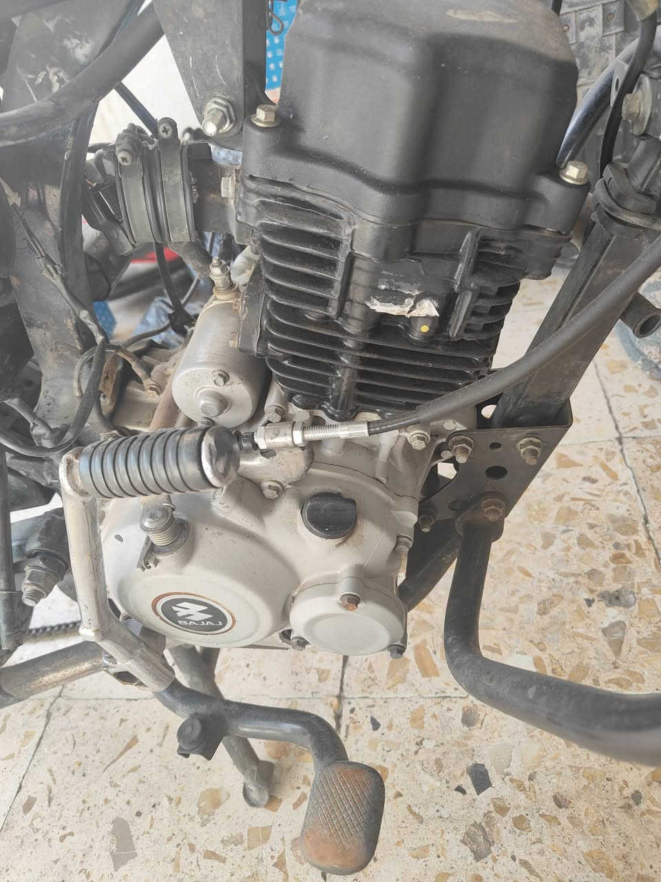 شباب عندي غراض بوكسر تفصيخ
عندي محرك بوكسر معمر تعمير شركه كله ليبل وردي للبيع 
عندي دبلات كلاسك هيه والماشه للبيع نظافه 70بالميه
عندي جاملغات بوكسر جبلي كاملات نظافه 90بالميه
عندي قبق صينيه 
عندي وياله امامي خلفي جبلي 
عندي دشبول شغال 
عندي ضفيره مابيها اي قطع 
عدي مازده مال بوكسر نظيفه كلش 
مكاني بغداد حي الجهاد 
***********
