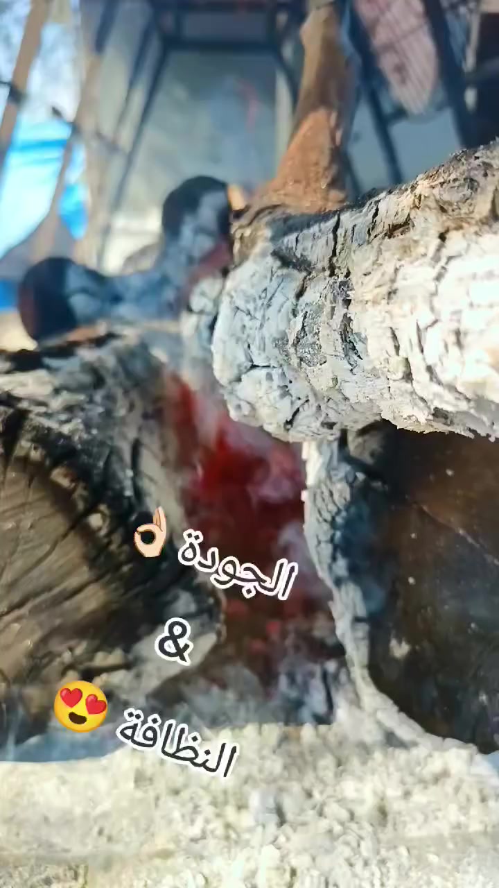 بسم الله ما شاء الله

#المسكوف_العراقي_الاصلي_شرط_على_حطب_الحمظيات_والتكي 

#النظافه_والجوده_والطعم_والنكهه 😋

#للطلب_والحجز_*********** 📞

#العنوان_تقاطع_اركوازي
