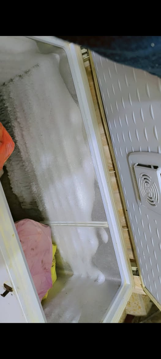 مجمده للبيع السعر ١٥٠ حجم كبير


**إذا كنت صاحب هذا الإعلان وتريد حذفه لأي سبب، رجاءا أرسل رسالة إلى الدعم الفني**