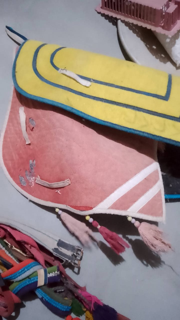 البيع سرج فرس ويا الباده ثنين والجام زنكيات وسرج وسعر ١٢٠وبي مجال
وهذه رقم صاحبو ***********
