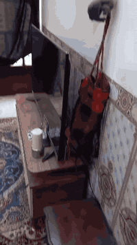 مشتمل ٦٠ م واجهة ٤ م بناء نظيف جداا غرفتين نوم واستقبال وخدمات  الشعب خلف محكمة الشعب السعر ١٢٠ مع المجال للاستفسار ***********
