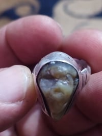 محابس • ياقوت • زمرد كولومبي