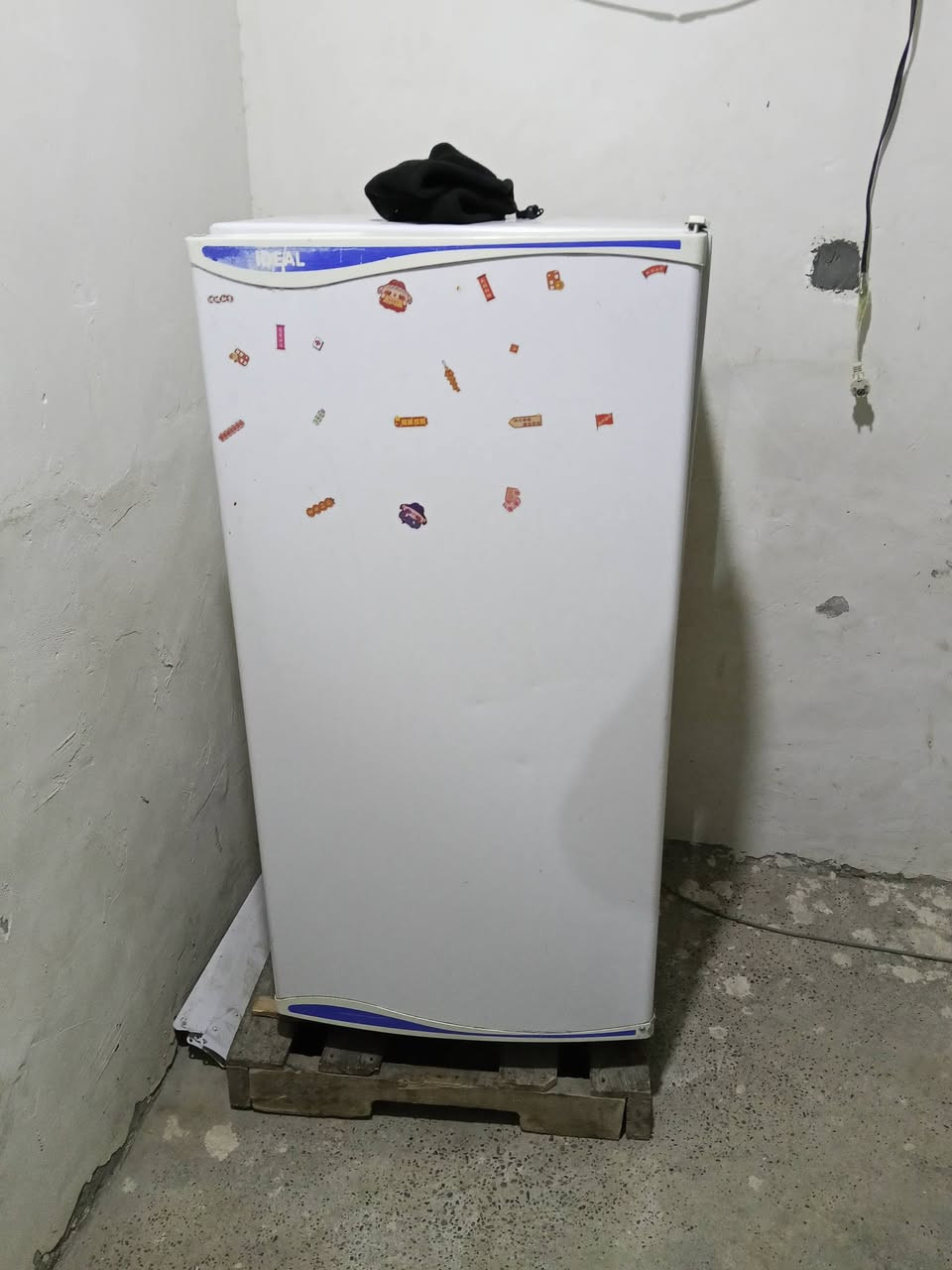 السلام عليكم ثلاجات عل فحص للبيع كلمن وسعرها مكاني حله شارع 80مال كربلاة شراي يجي خاص ويدلل شرط ثلج وماداخلات تصليح


**إذا كنت صاحب هذا الإعلان وتريد حذفه لأي سبب، رجاءا أرسل رسالة إلى الدعم الفني**