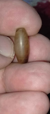 كصبة • قديمة • كربلاء