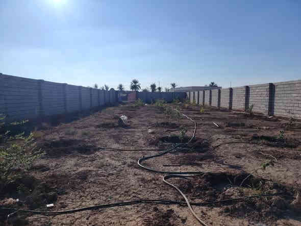 سلام عليكم
نصف دونم للبيع
الموقع صلاح الدين قضاء بلد بين مدخل 2 ومدخل 3
تفاصيل الأرض
جنس عقار طابو زراعي سند ٢٥ 
المساحه ١٢٥٠ متر 
الواجهه ٢٠ 
النزال ٧٣
مسيجه بالبلوك 
مزروعه حمضيات ونخل
ماء بير 
للاستفسار الاتصال على الأرقام التاليه 
*********** 
*********** 
او مراجعة مكتب التمار للعقار الواقع شارع المحطه محلات الحاج عدنان
