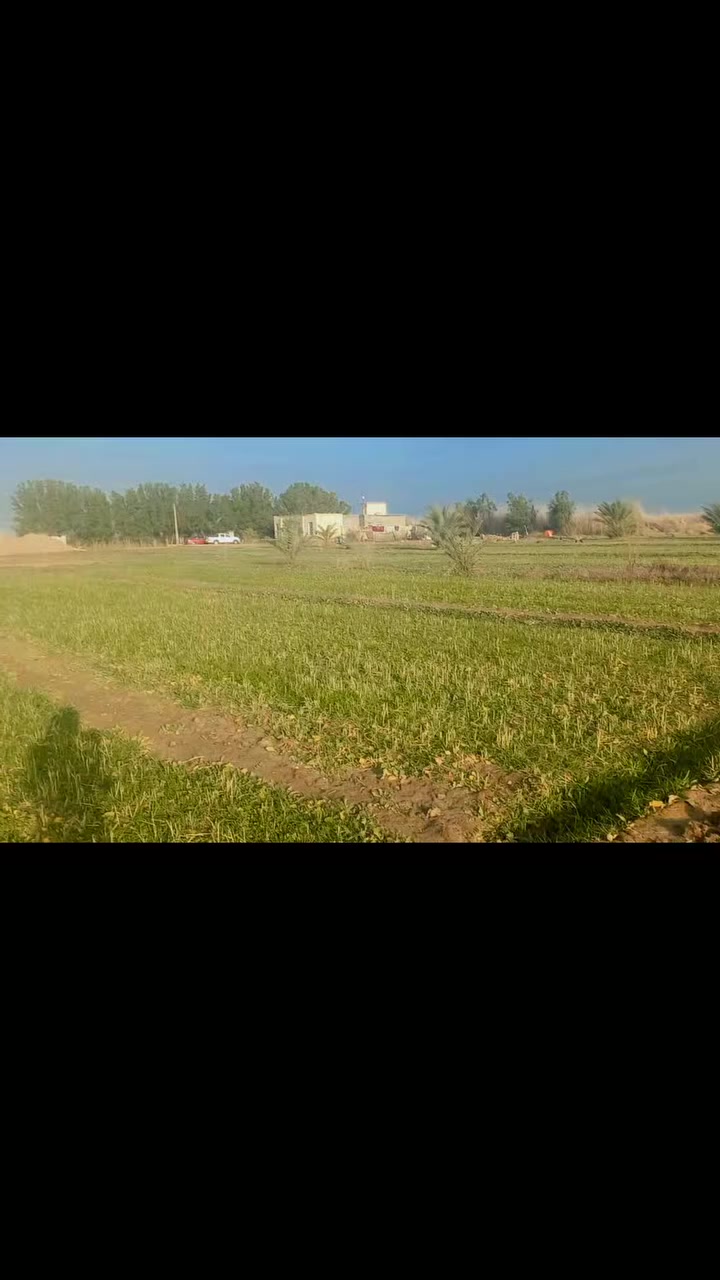 سلام عليكم ورحمة الله وبركاته
أرض زراعية للبيع 
9دونم فيه نخل ورمان مثل ماواضح بصوره 
بيت 4غرف براني 15متر 
كهرباء ماء اساله 
ماء سقي متوفر 
العنوان الديوانية طريق سومر عفك تبعد عن الشارع العام 400 متر طريق رسمي كتف بزل رئسي 

 وأيضاً اقل من كيلو متر تقريباً متوفرة اسواق 
ومستوصف صحي صيدلايات 
ومدارس بتدائية متوسطه واعدادية
***********
