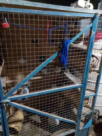 برج للبيع استعمال قليل ب40 عنواني جكوك 07722937262