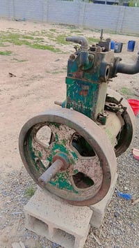 مولد لستر ١٦ • حمرين • بيه مجال