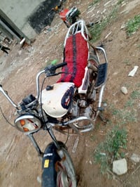 جني • ١٧٥ • بدون أوراق