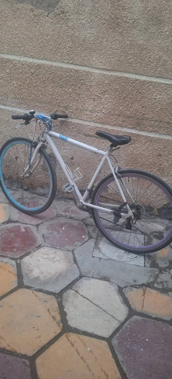 السلام عليكم بايسكل للبيع حجم 27 نضيف جدآ ماناقصه اي شي سعره خاص المكان بغداد الحسينيه الراشديه شراي خاص ويدلل


**إذا كنت صاحب هذا الإعلان وتريد حذفه لأي سبب، رجاءا أرسل رسالة إلى الدعم الفني**